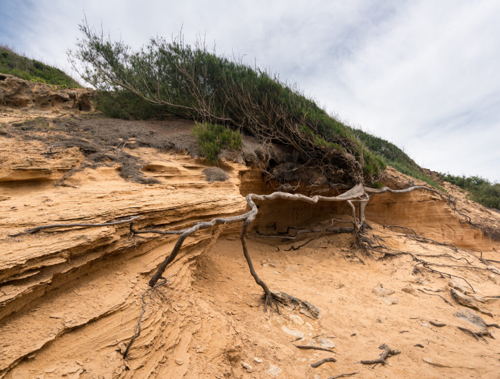 Ombrelloni e cambiamenti climatici: perché la “prima fila” sulle spiagge italiane non è mai stata una certezza