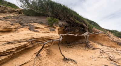 Ombrelloni e cambiamenti climatici: perché la “prima fila” sulle spiagge italiane non è mai stata una certezza